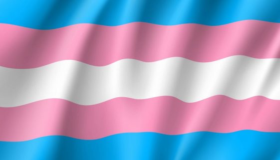 Essential Tools and Tips for Transgender Performers